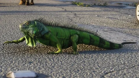 GTA 6: Todos os animais confirmados até agora