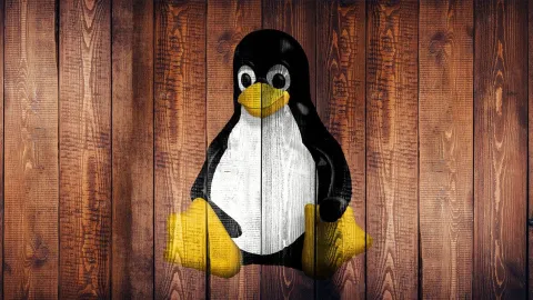 Linux Escapa da Crise de Verificação de Idade, Mas SteamOS Ainda Está em Dúvida