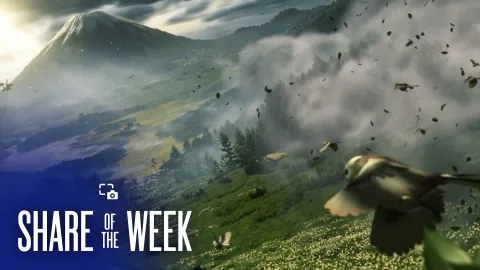 Share of the Week: Seasons