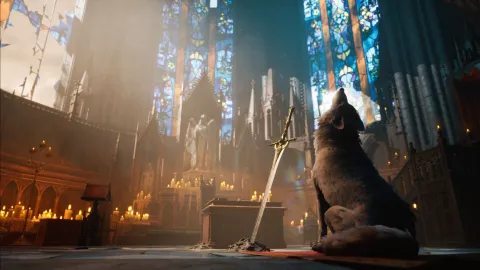 Stray Dog: Nobody Cares traz protagonista inspirado em Sif de Dark Souls