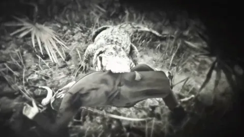 Vencedores de Agosto do Replay: momentos divertidos em Call of Duty e um jacaré voador em Red Dead
