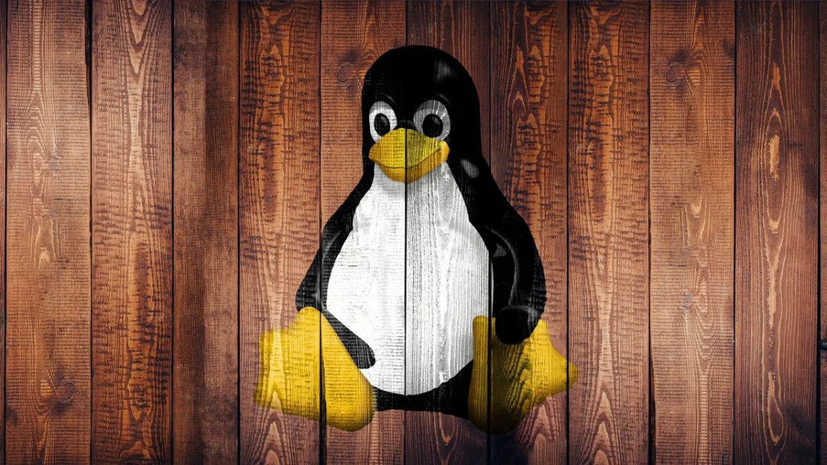 Vulnerabilidades críticas no kernel Linux foram divulgadas publicamente — atualize seu SteamOS ou distros para versões beta