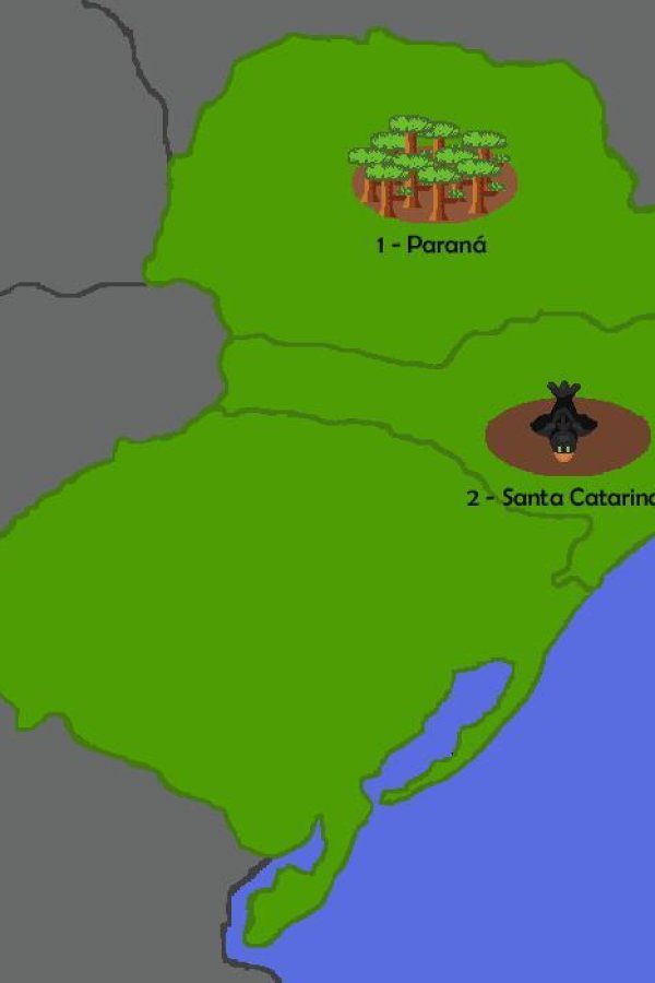 Capa de A Última Pinha