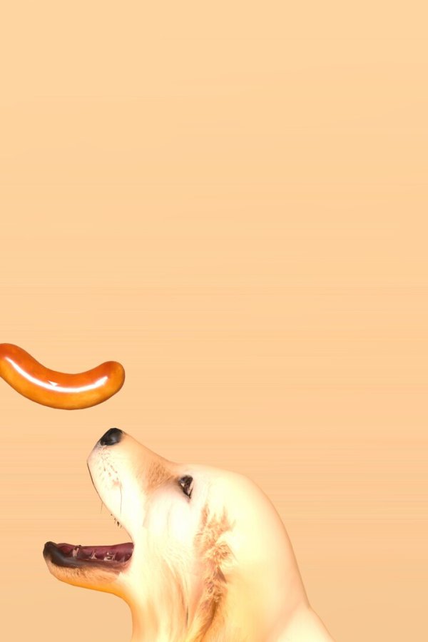 Capa de a weird game about sausage