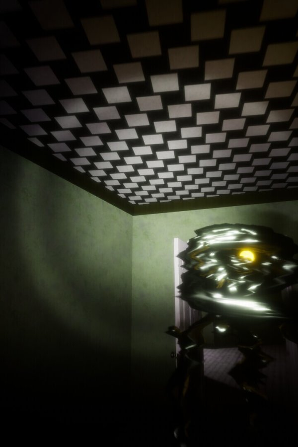 Capa de Backrooms: The Entity