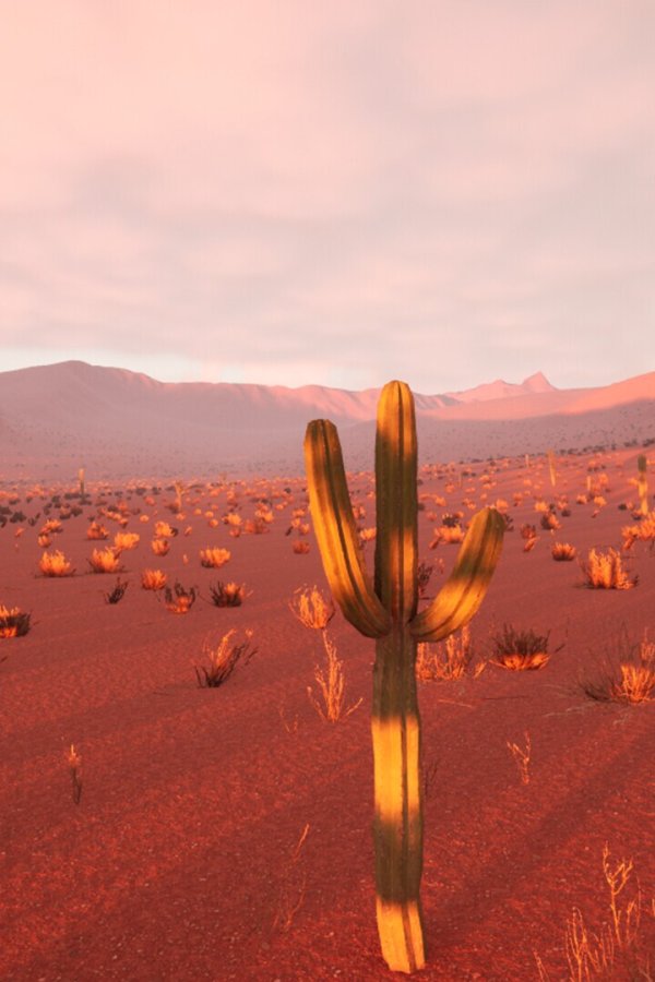 Capa de Cactus Simulator 2