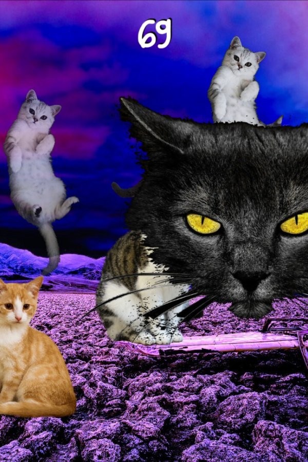 Capa de Cat Clicker