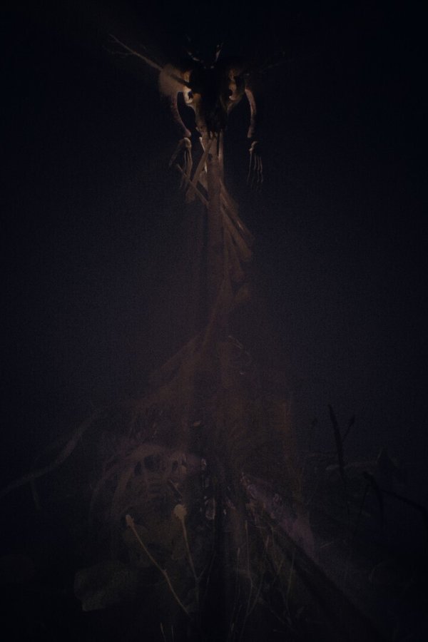 Capa de Cult of Dawn