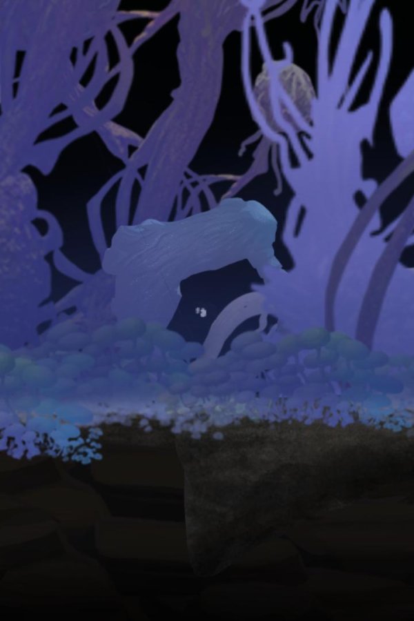 Capa de Dark Furr
