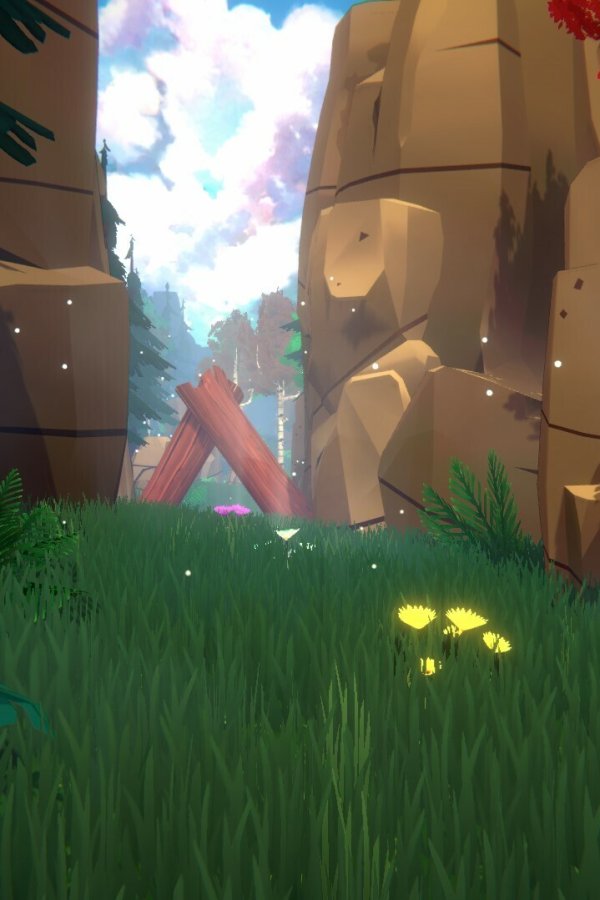 Capa de Dreamy Trail