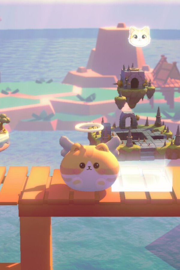 Capa de Find Cats 5 天使猫