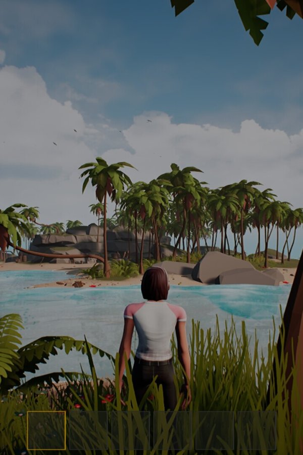 Capa de IMA SURVIVOR