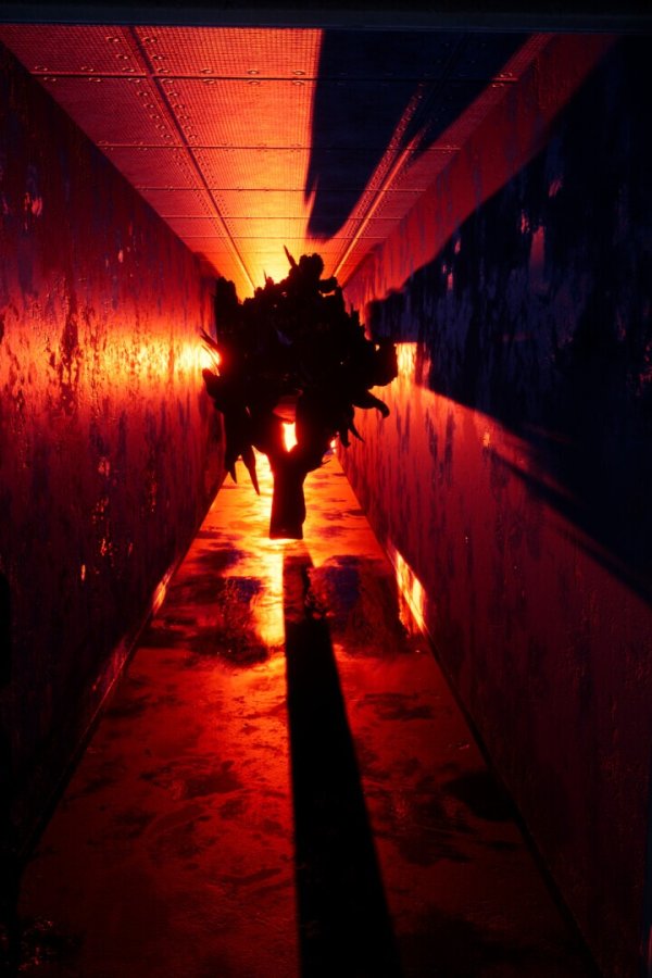 Capa de It's Locked