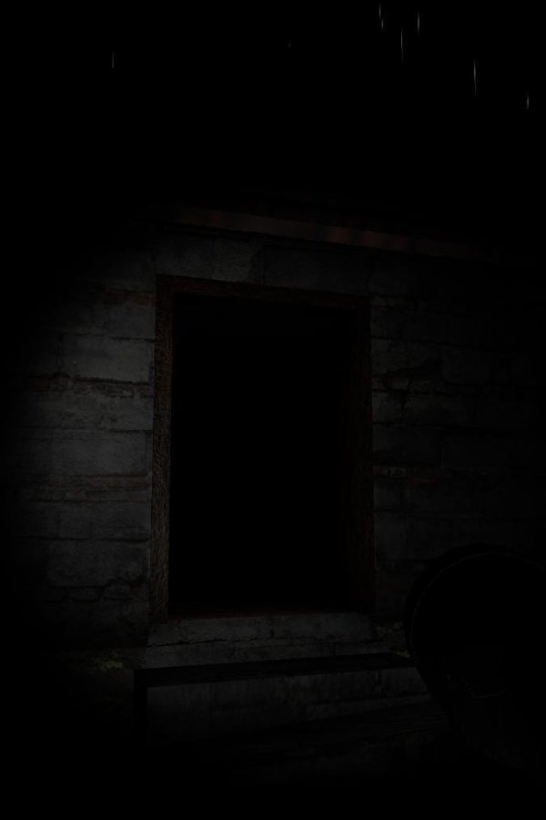 Capa de Long Night in Forest (Release)