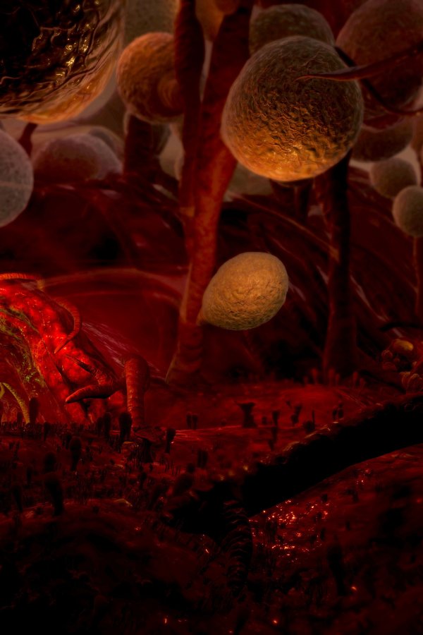 Capa de Medbot (UQAC DIM)