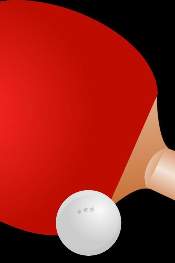 Capa de ping pong (itch) (Trey)