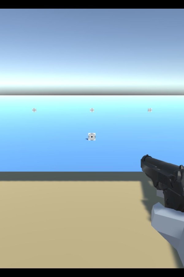 Capa de Pistol Target Practice