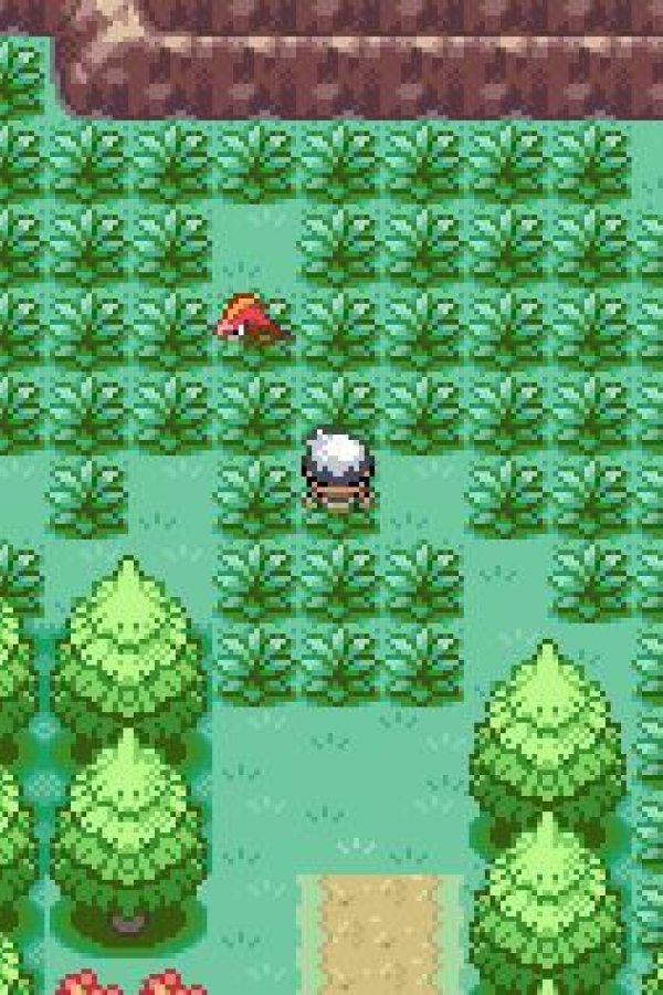 Capa de Pokémon Dark