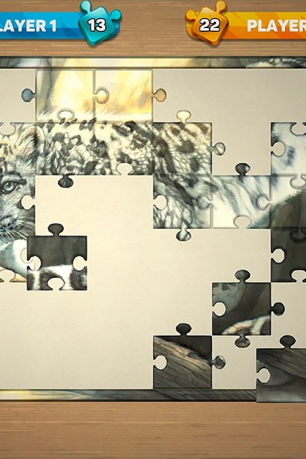 Capa de Puzzle Book