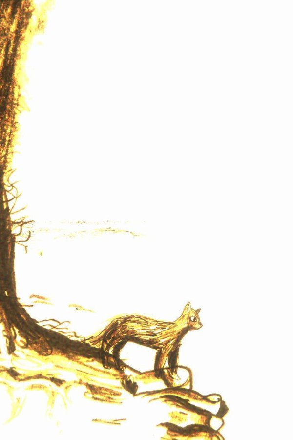 Capa de Rest (itch) (bulboka)