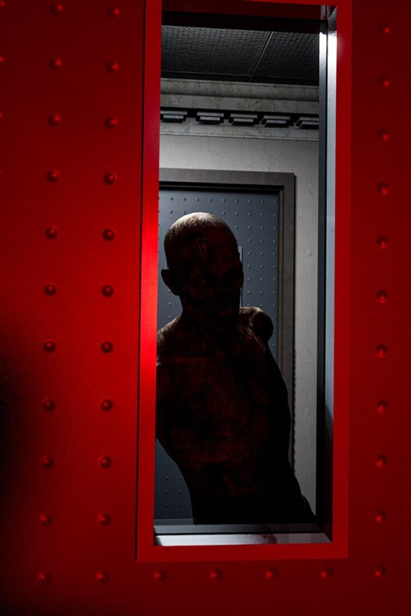 Capa de Rosemary