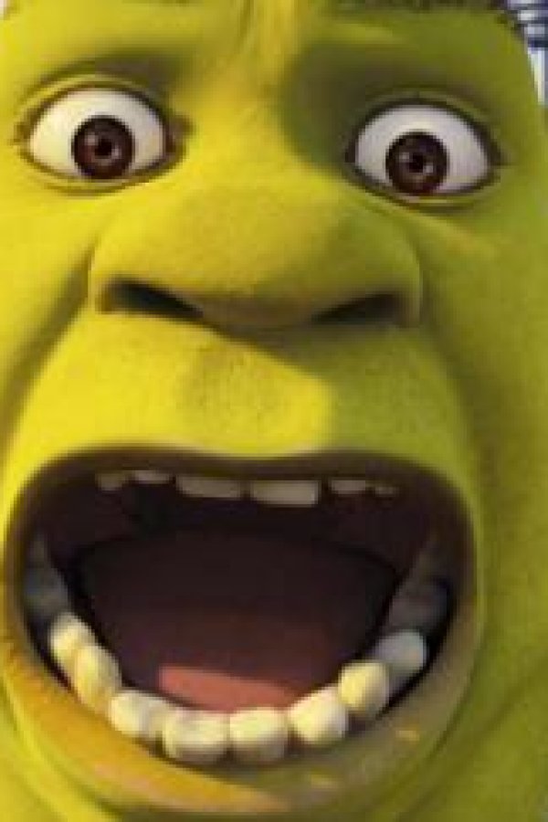 Capa de Shreks Wonderland