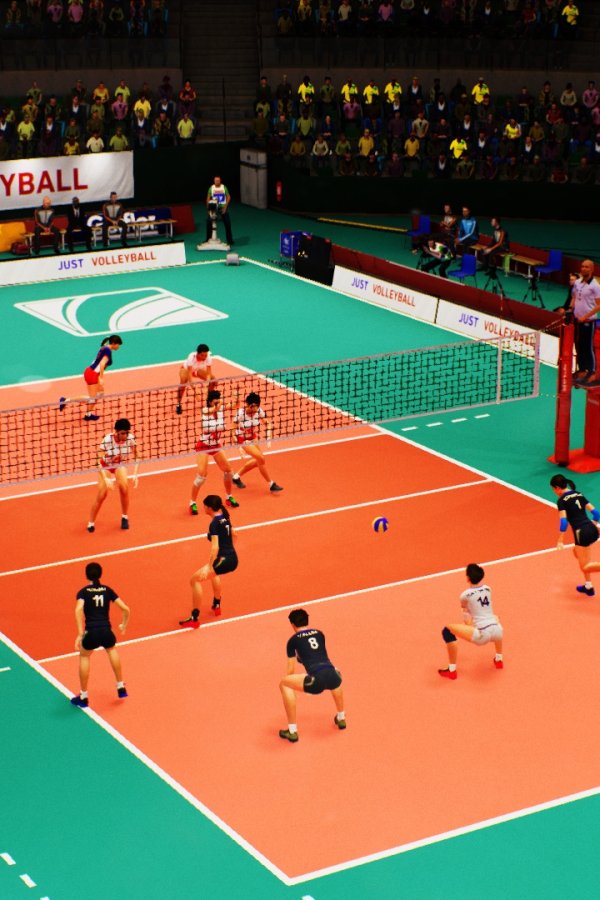 Capa de Spike Volleyball