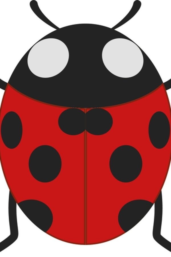 Capa de Spots and Mobbers