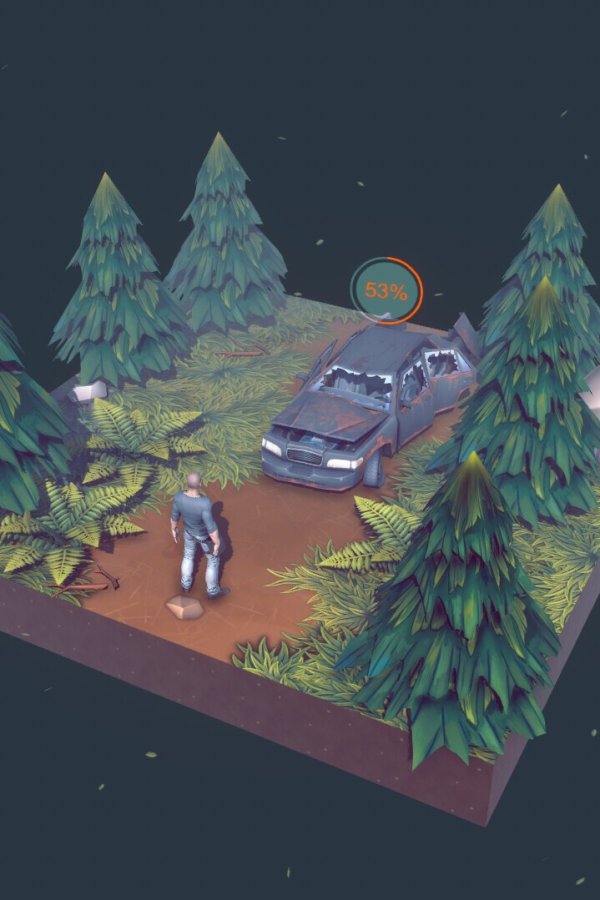 Capa de Survivor in the Forest