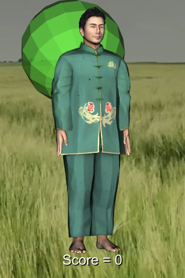 Capa de Tai Chi Game
