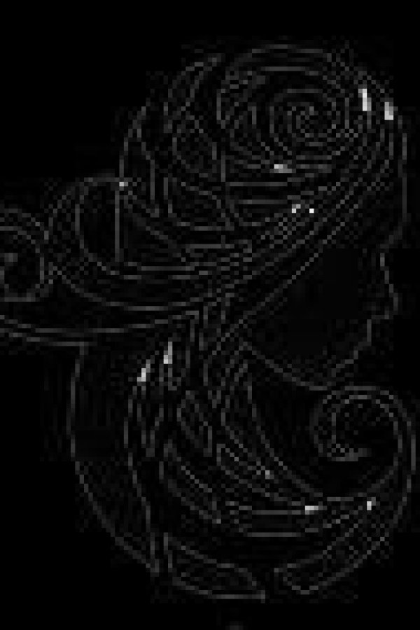 Capa de The Legend of Trevor the Horo