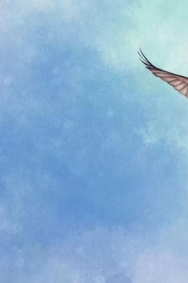 Capa de Wingspan