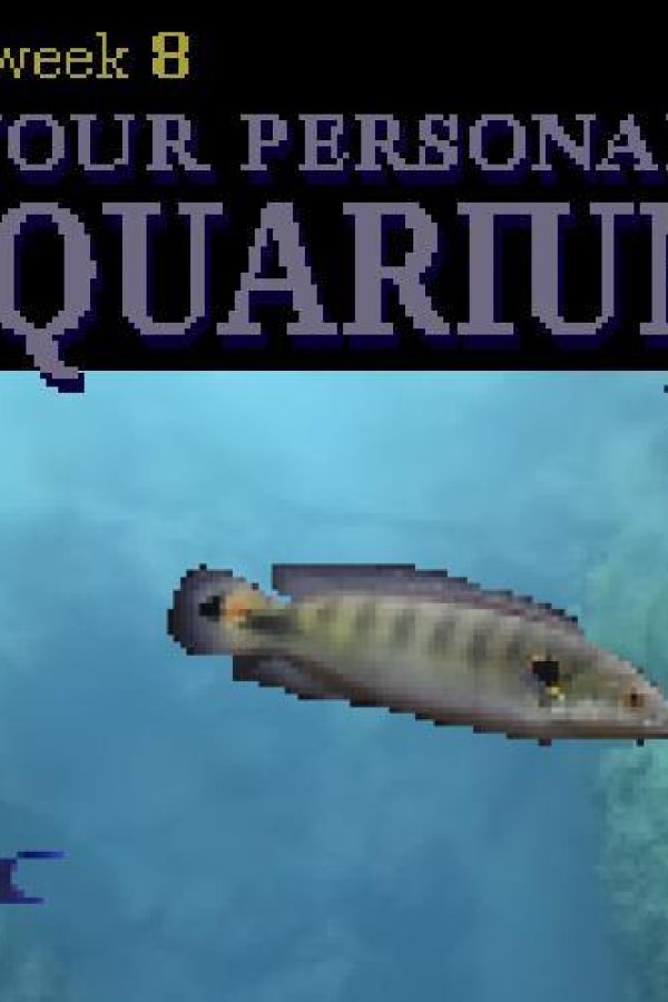 Capa de Your Personal Aquarium